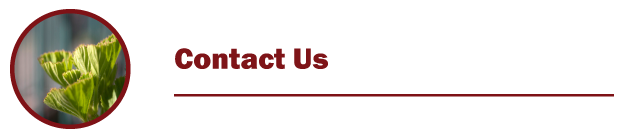 Level 1 Title Contact Us