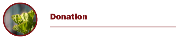 Level 1 Title Donation