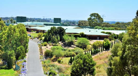 Ariel View of On Luck Chinese Nursing Home